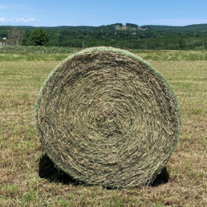 Honey Hay Chris Farm Stand